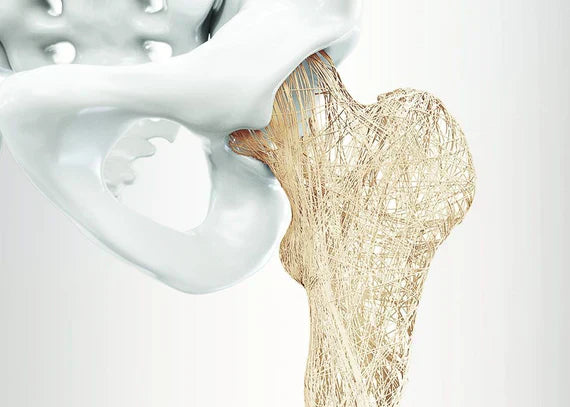 JOINT & BONE