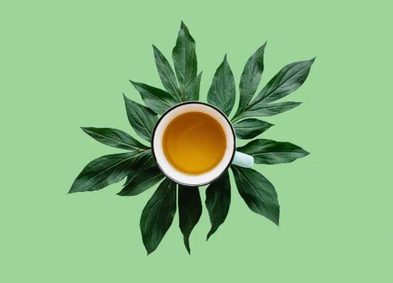 ORGAN DETOX