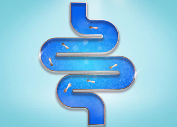 GUT HEALTH
