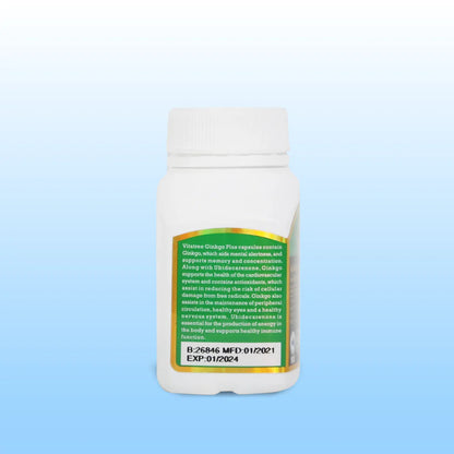 Ginkgo Plus 6000