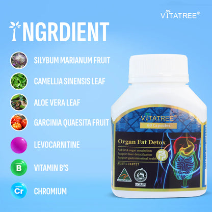 Organ Fat Detox