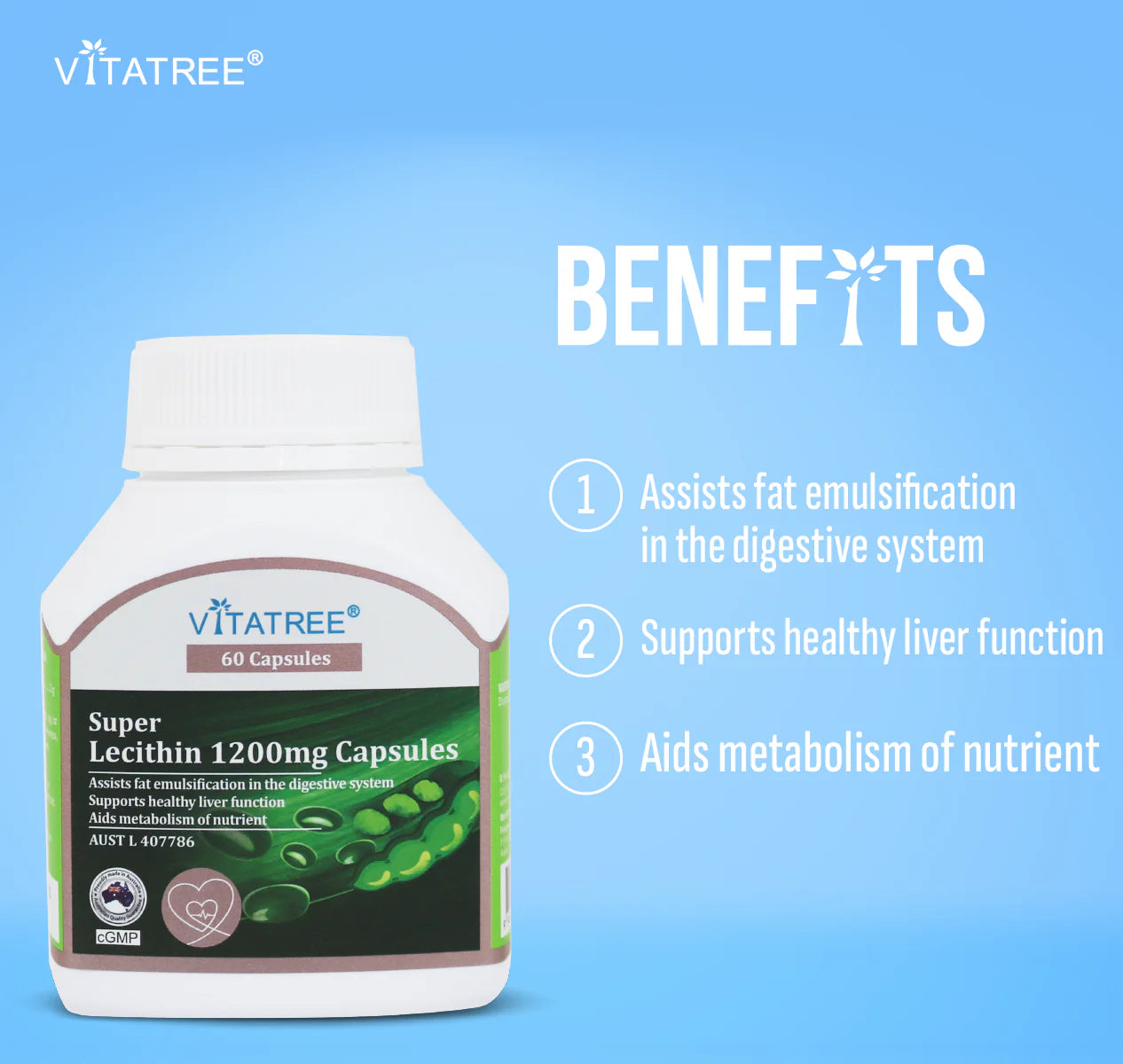 Lecithin